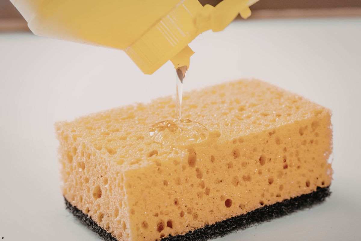 Spugnetta ogni quanto va cambiata Uniro.it