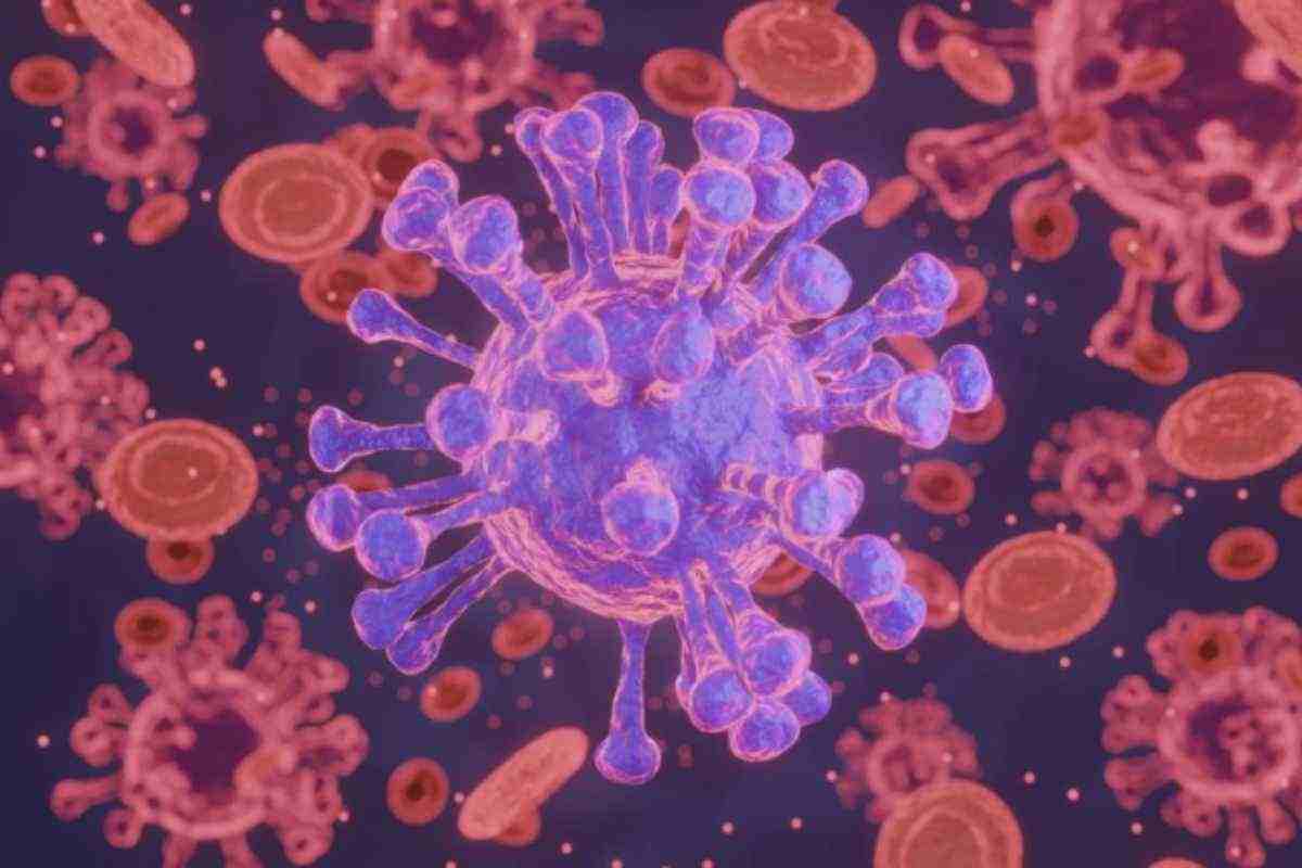 Tumore (www.uniro.it)